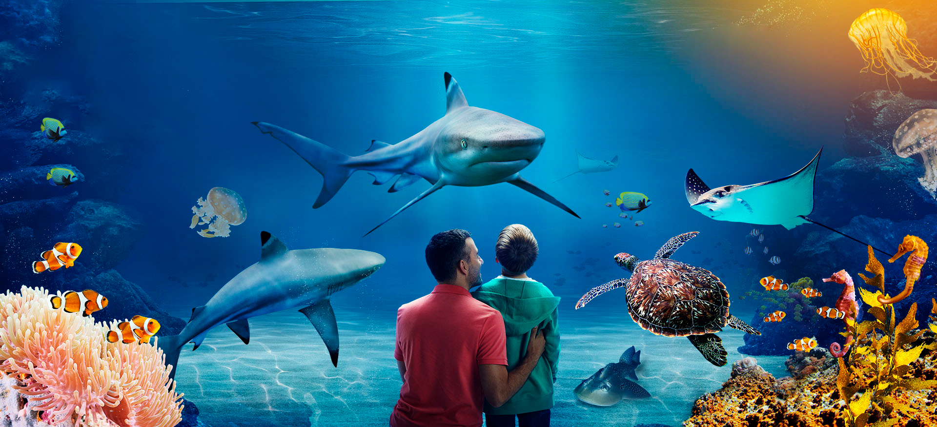 a man and a boy at an aquarium looking at sharks behind the glass.