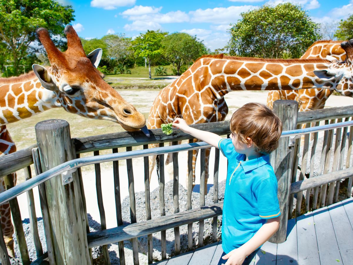 Zoos In and Around Brighton - We Love Brighton