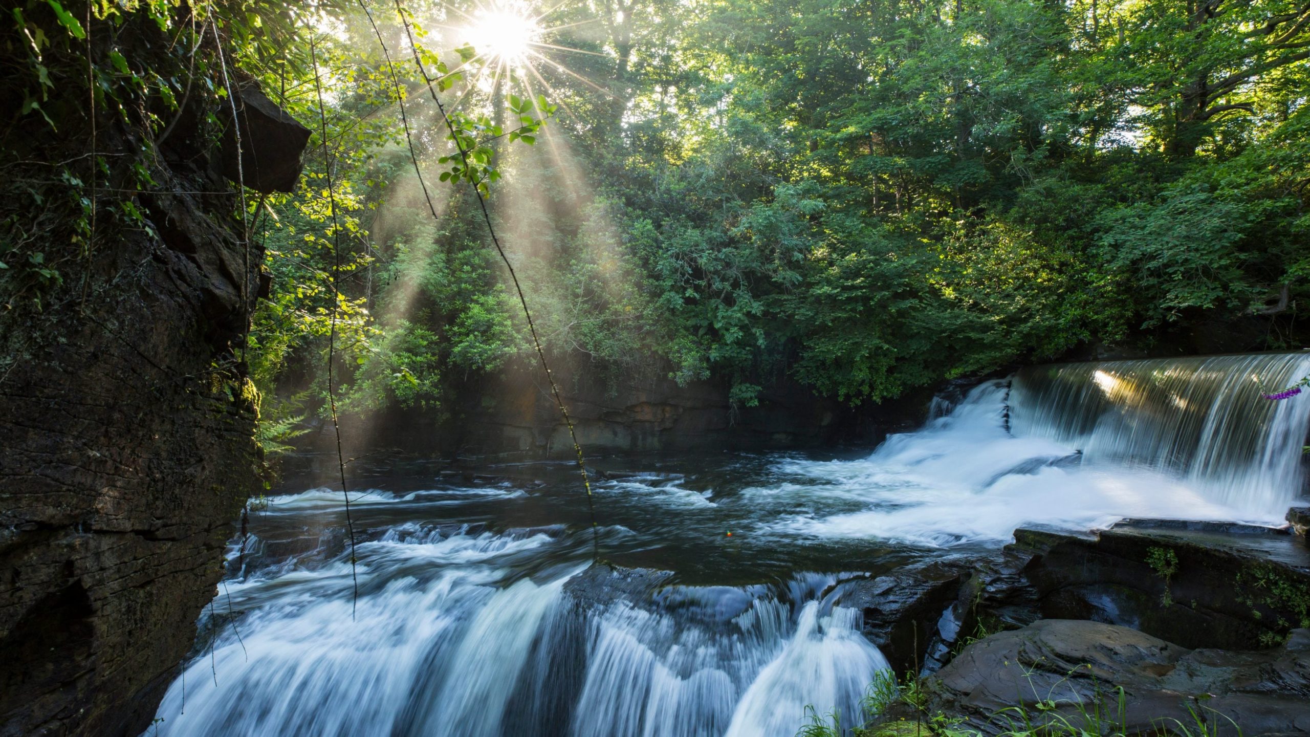 water flowing down rocks among trees with sun coming through leaves