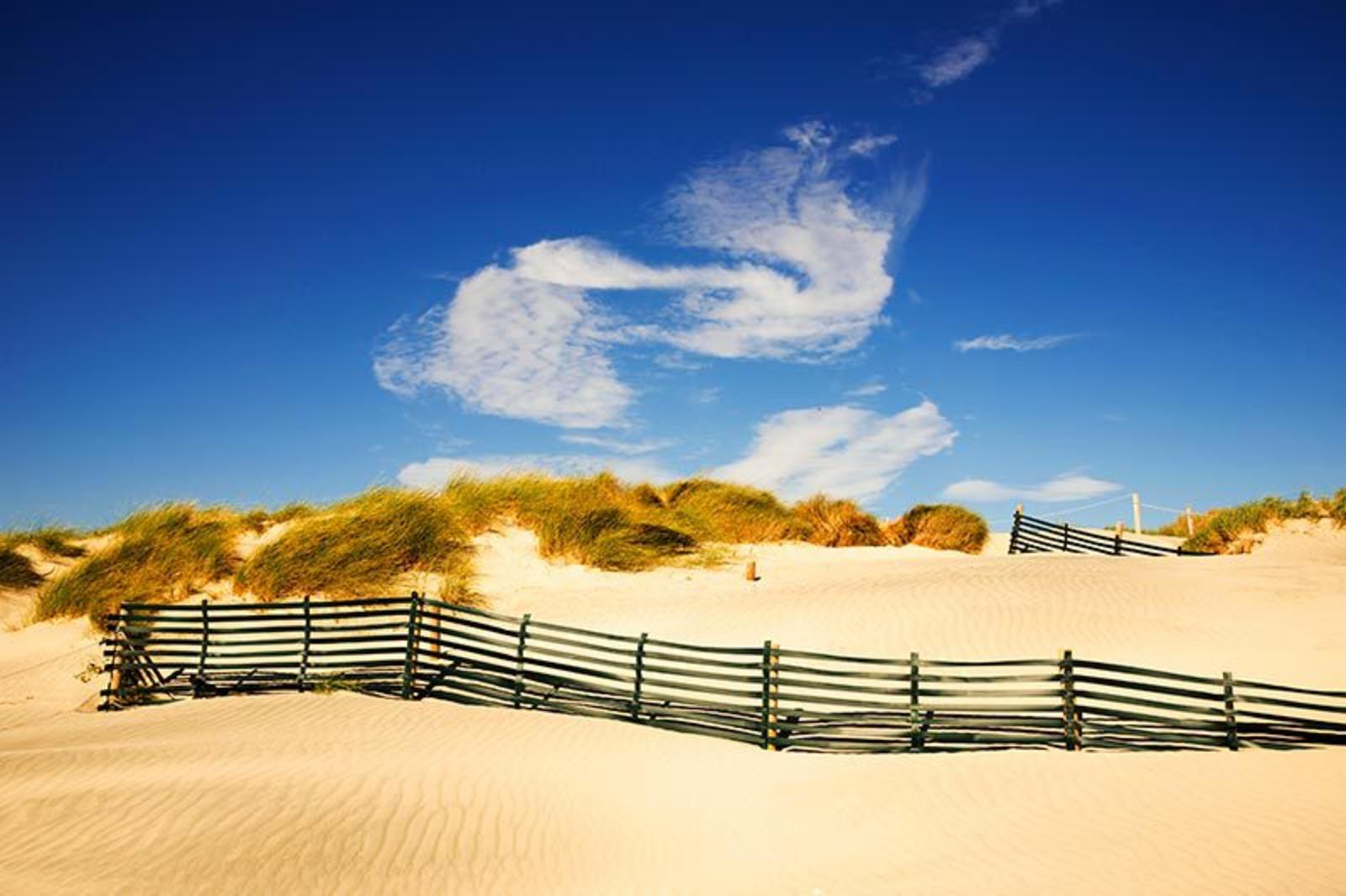 A sandy beach with a black fence and plants behind it, in front of a cloudy sky