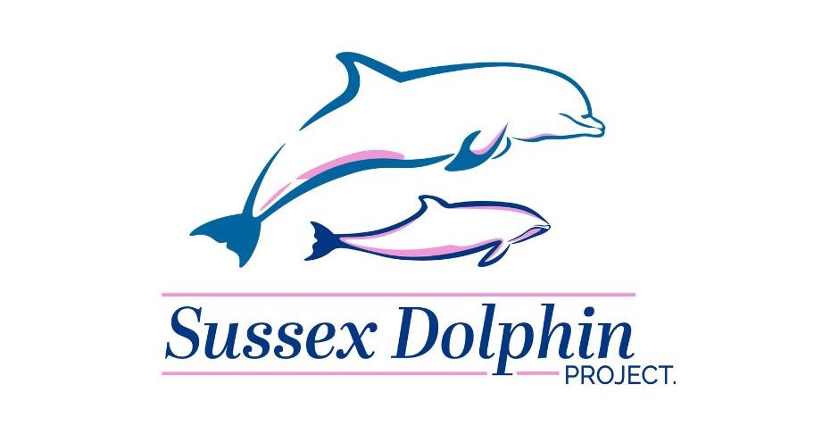 2 drawn dolphins in blue and purple colours with text under saying Sussex Dolphin Project