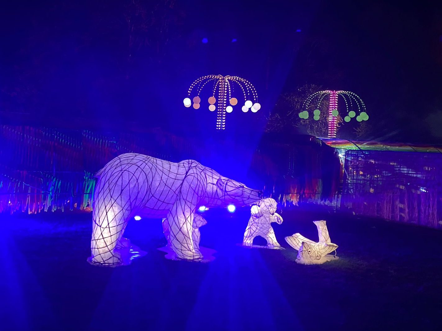Polar bear light installation on a blue light background at The Brighton Lights  in Stanmer Park