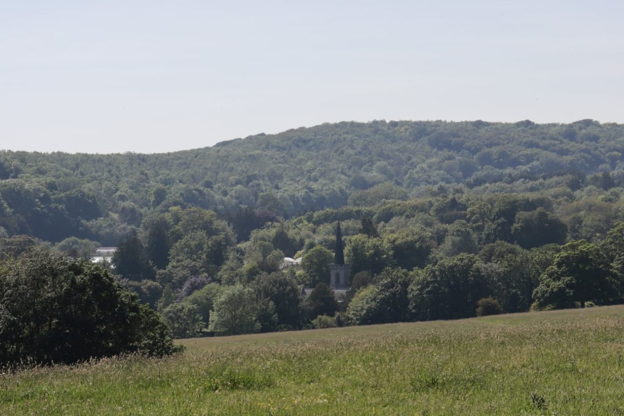 view of Stanmer Park in Brighton from atop a hill