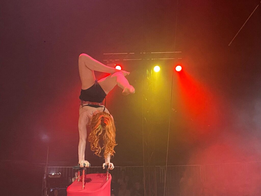 The Circus Yard Revel Puck Circus Brighton Fringe
