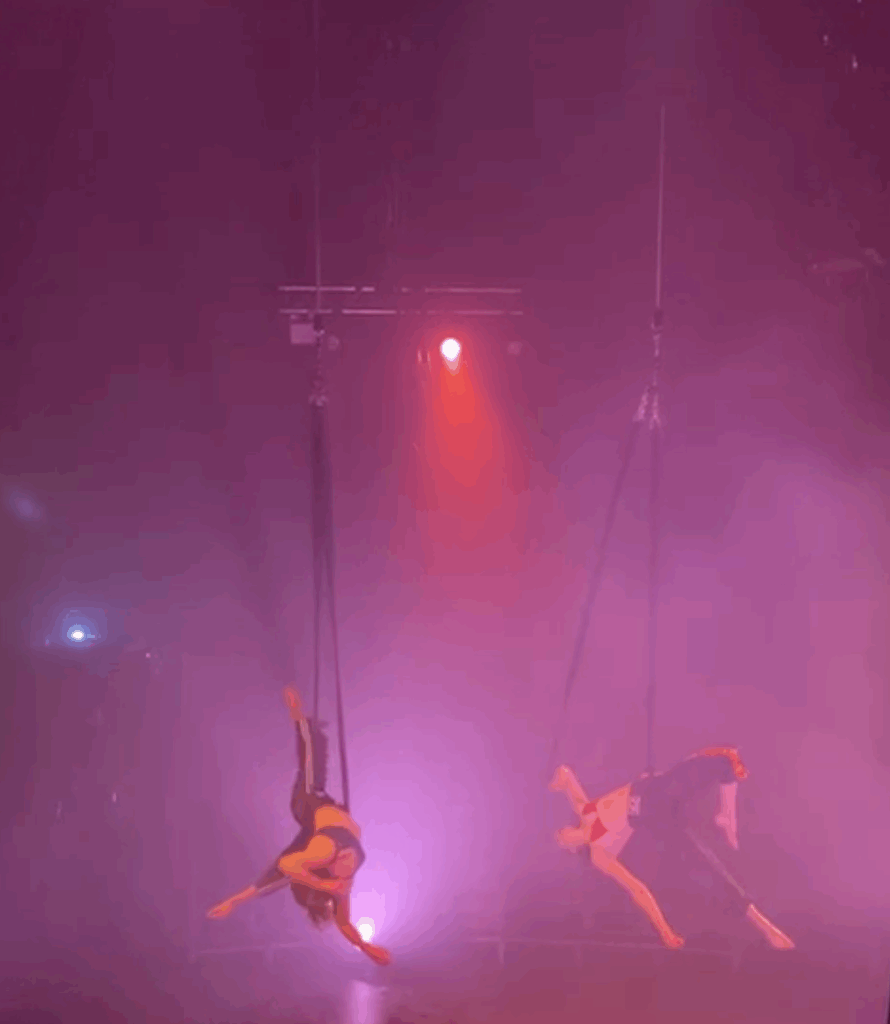 Lavrak Circus
