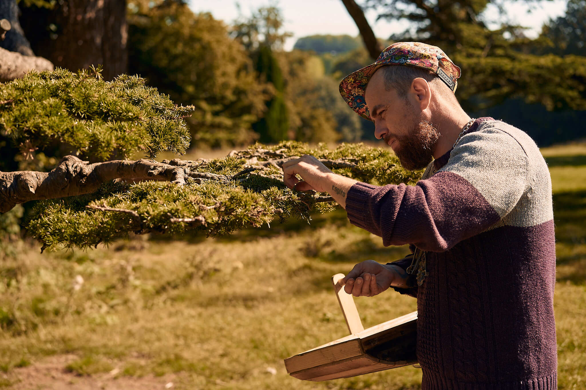 Christian of Urban Forage