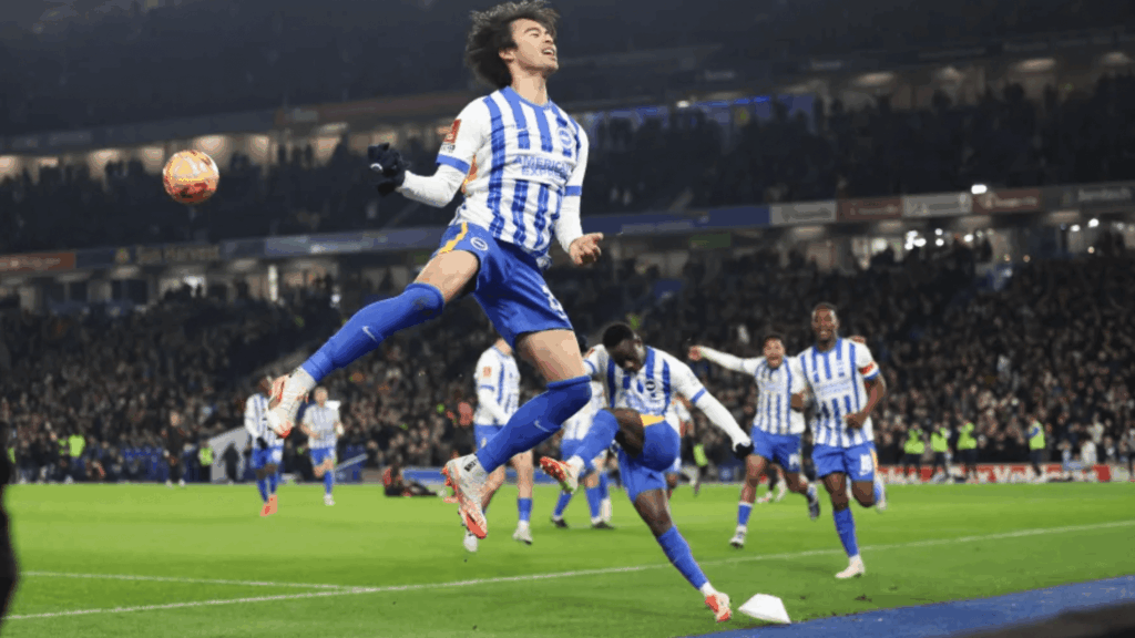 Brighton & Hove Albion