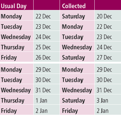 Christmas bin collections Brighton and Hove